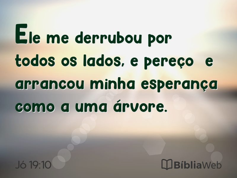 Jó 19:10 em imagem para compartilhar