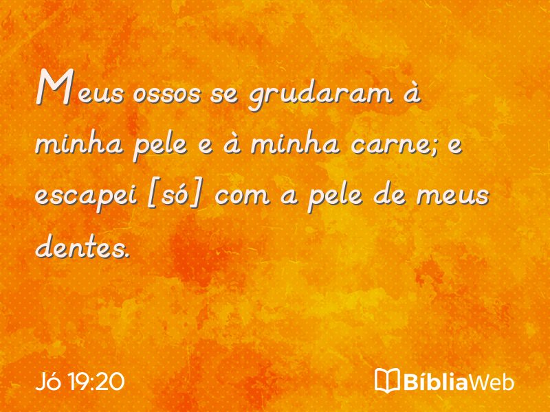 Jó 19:20 em imagem para compartilhar