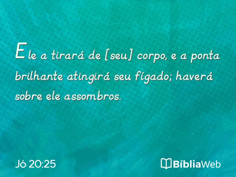Jó 20:25 em imagem para compartilhar
