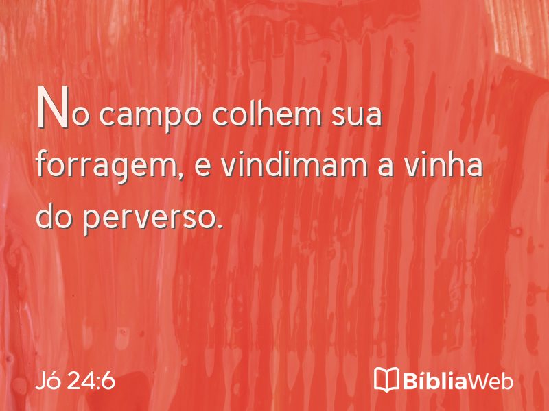 Jó 24:6 em imagem para compartilhar