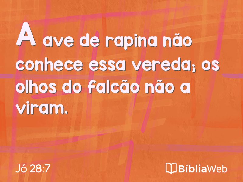 Jó 28:7 em imagem para compartilhar