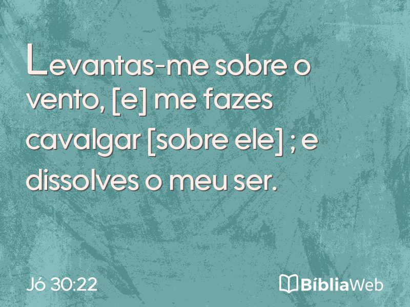Jó 30:22 em imagem para compartilhar