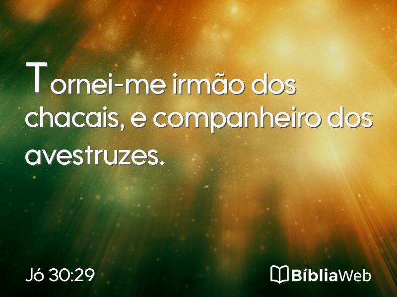 Jó 30:29 em imagem para compartilhar