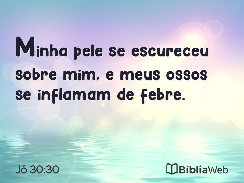 Jó 30:30 em imagem para compartilhar