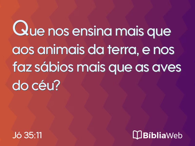 Jó 35:11 em imagem para compartilhar