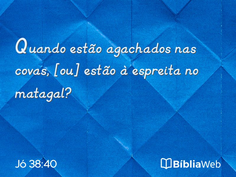 Jó 38:40 em imagem para compartilhar