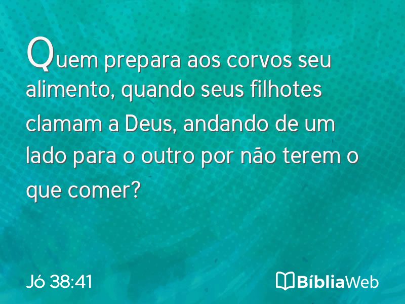 Jó 38:41 em imagem para compartilhar