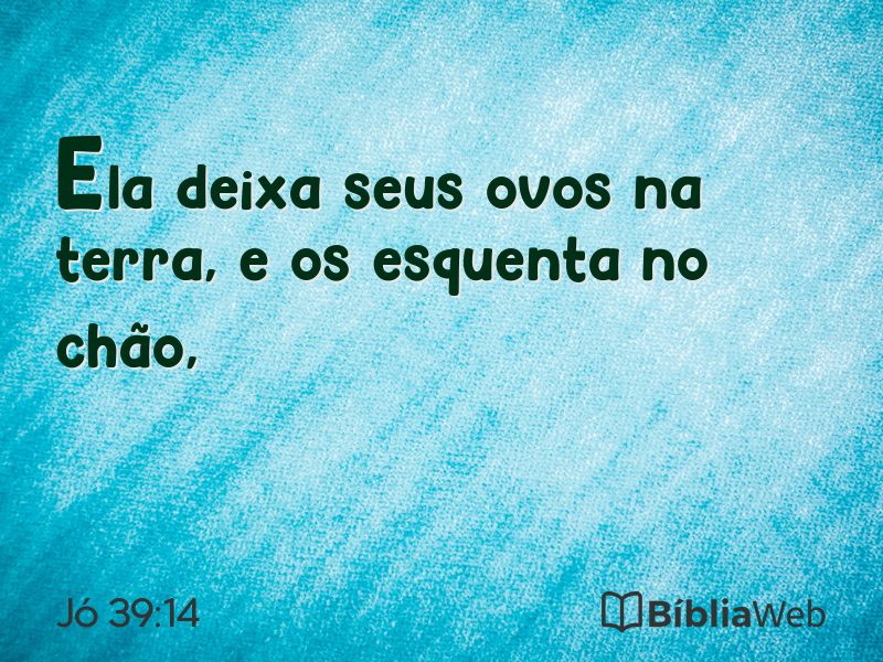 Jó 39:14 em imagem para compartilhar