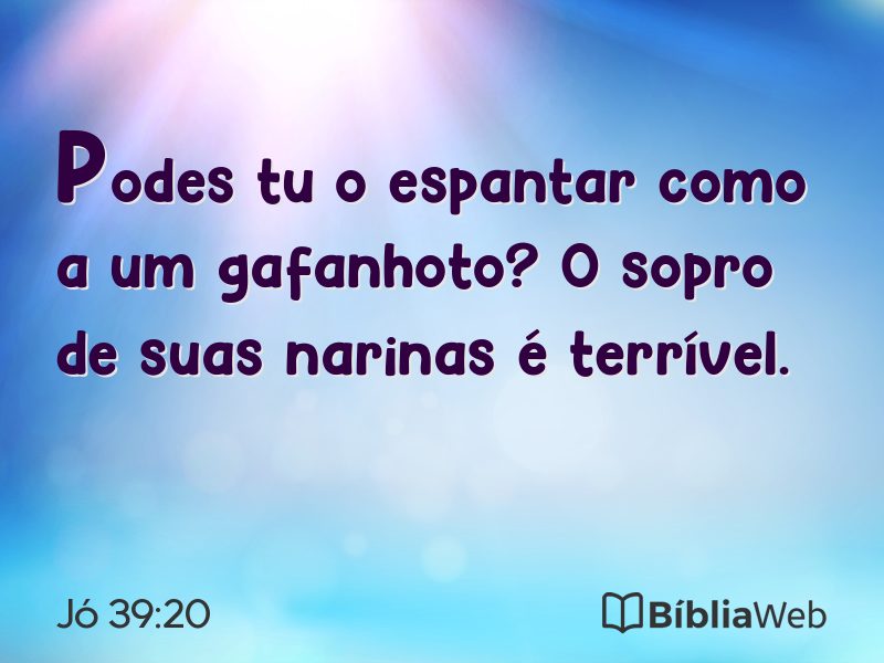 Jó 39:20 em imagem para compartilhar
