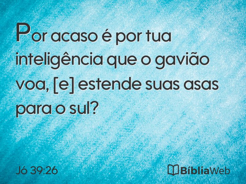 Jó 39:26 em imagem para compartilhar