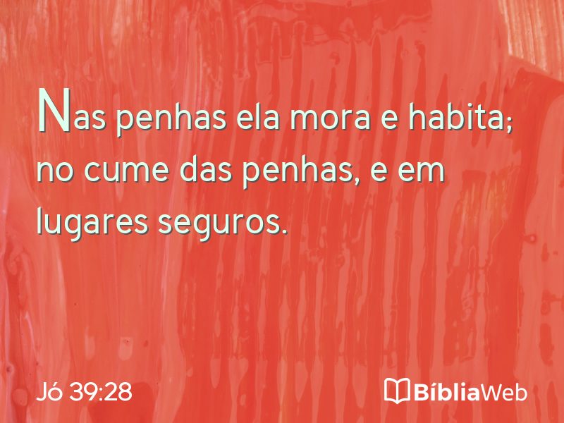 Jó 39:28 em imagem para compartilhar