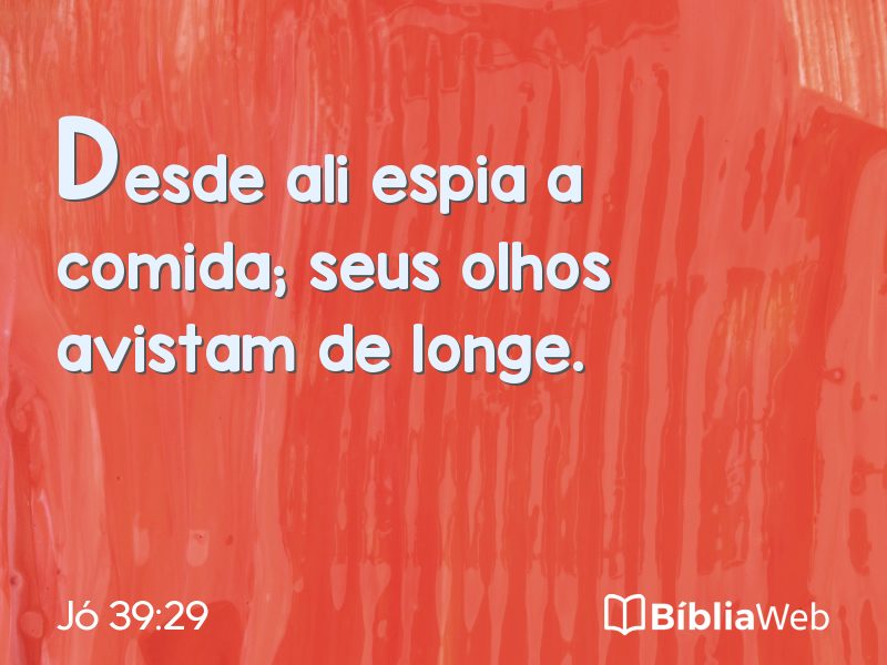 Jó 39:29 em imagem para compartilhar