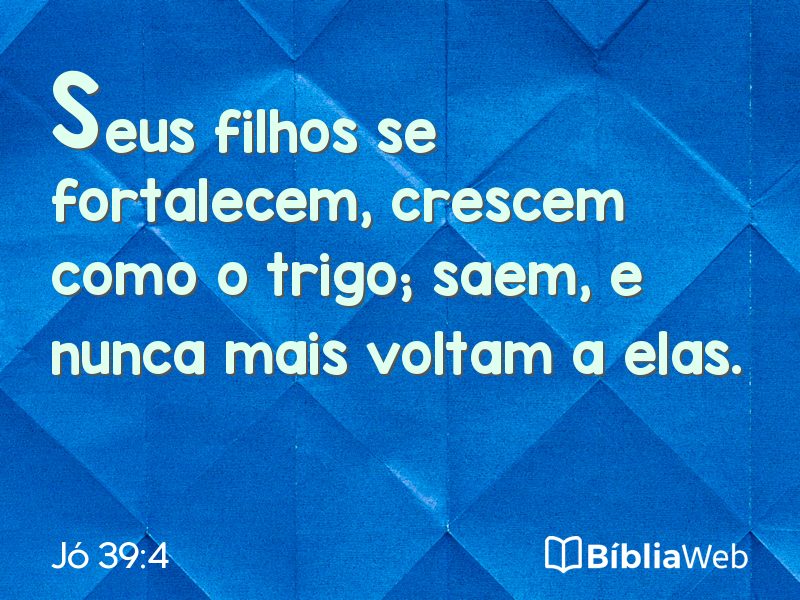Jó 39:4 em imagem para compartilhar