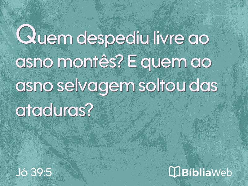 Jó 39:5 em imagem para compartilhar