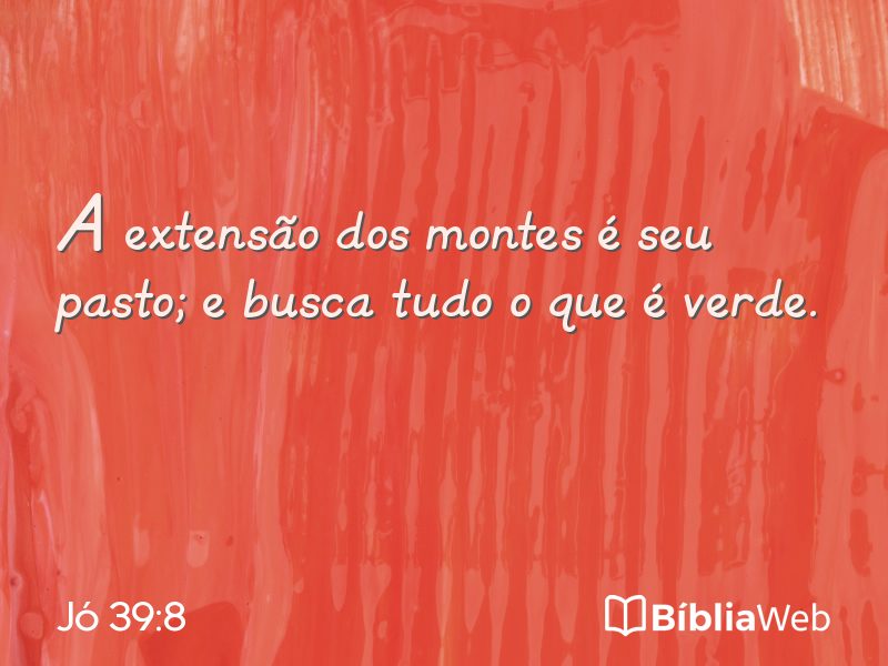 Jó 39:8 em imagem para compartilhar