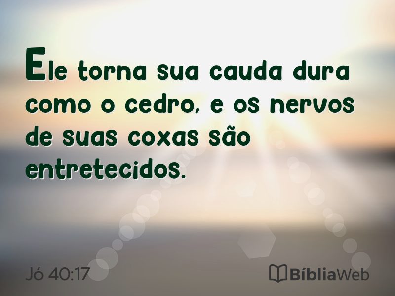 Jó 40:17 em imagem para compartilhar