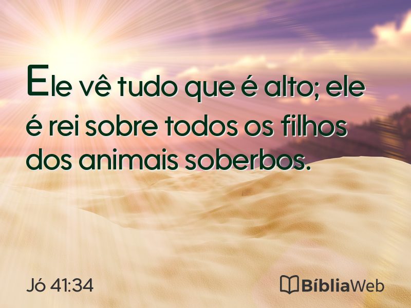 Jó 41:34 em imagem para compartilhar