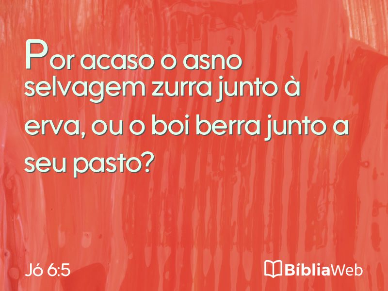 Jó 6:5 em imagem para compartilhar