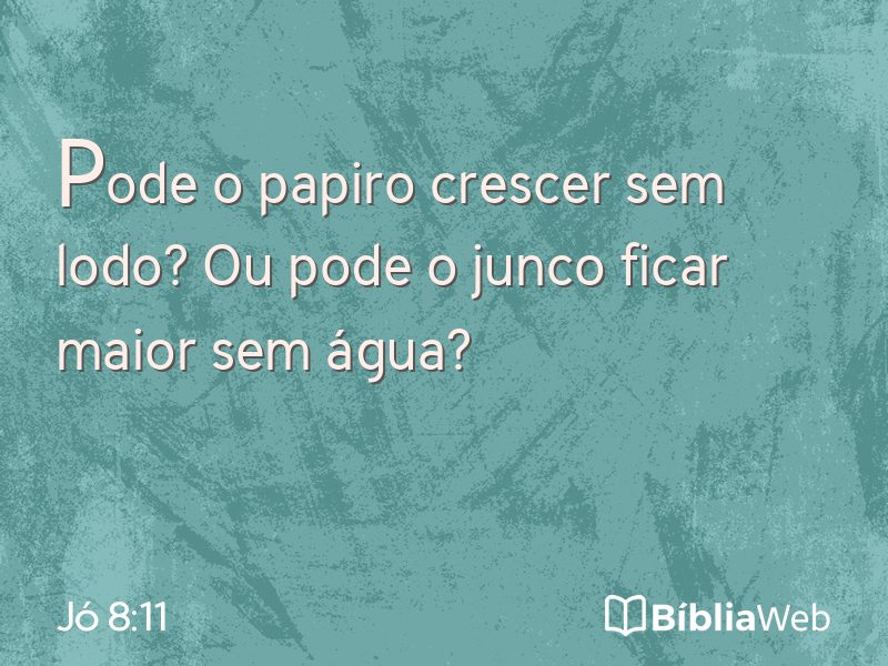 Jó 8:11 em imagem para compartilhar