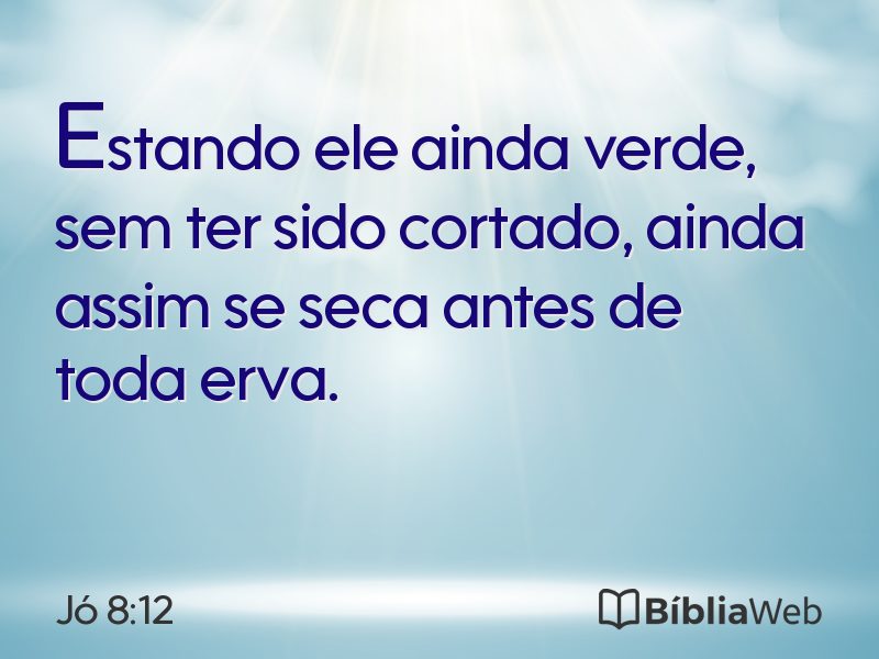 Jó 8:12 em imagem para compartilhar