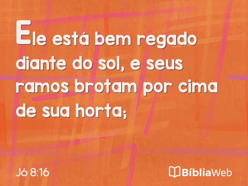 Jó 8:16 em imagem para compartilhar