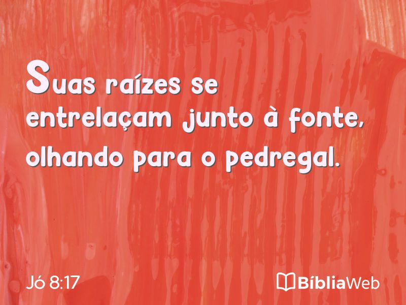 Jó 8:17 em imagem para compartilhar