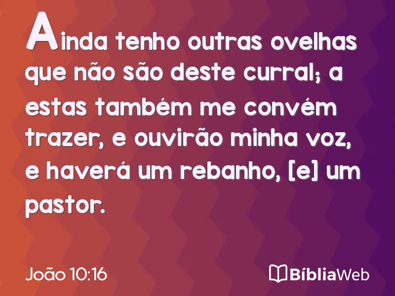 João 10:16 em imagem para compartilhar