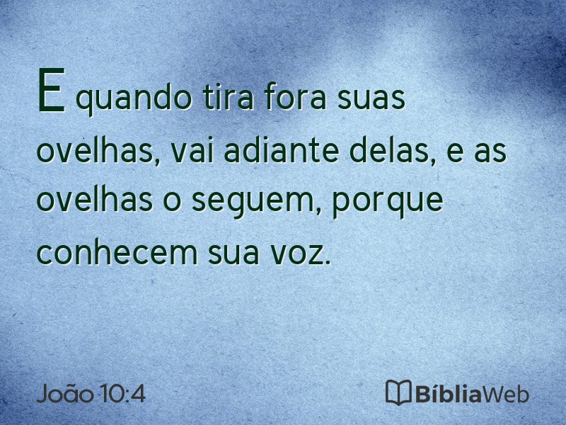 João 10:4 em imagem para compartilhar