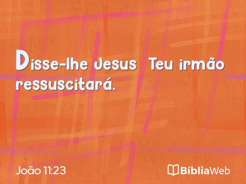 João 11:23 em imagem para compartilhar