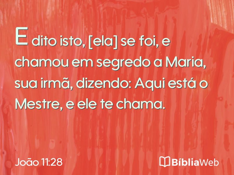 João 11:28 em imagem para compartilhar