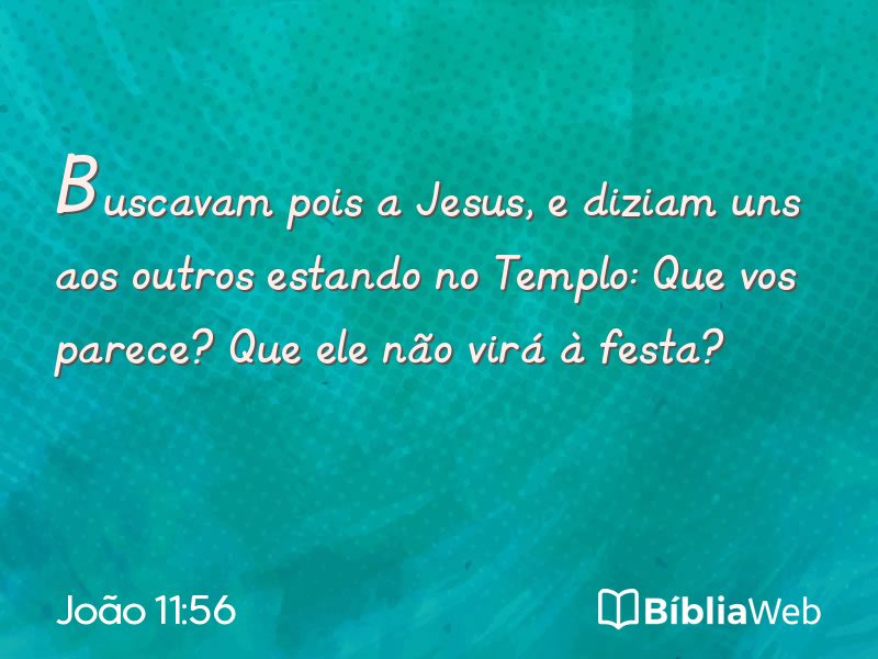 João 11:56 em imagem para compartilhar
