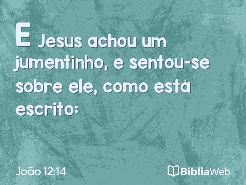 João 12:14 em imagem para compartilhar