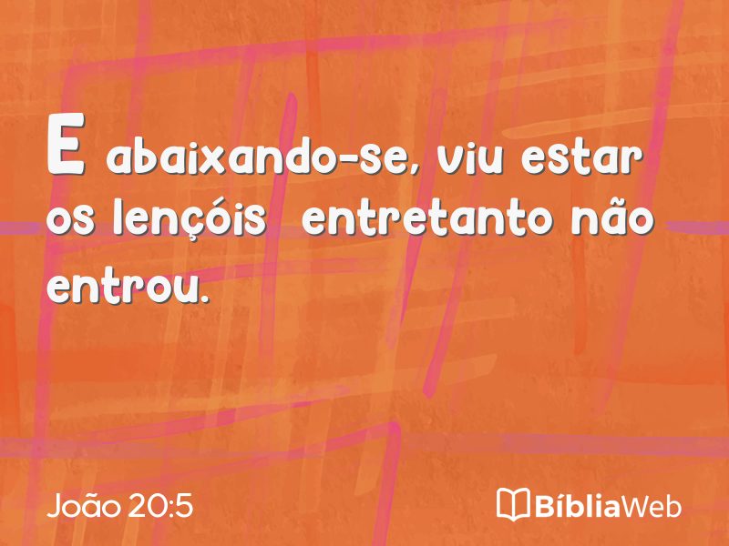 João 20:5 em imagem para compartilhar