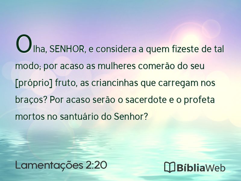 Lamentações 2:20 em imagem para compartilhar
