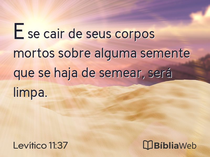 Levítico 11:37 em imagem para compartilhar