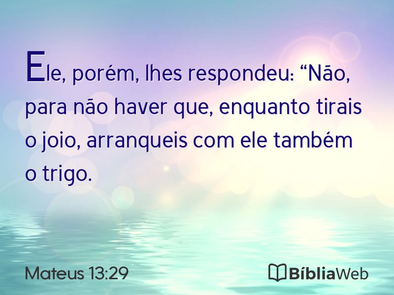 Mateus 13:29 em imagem para compartilhar