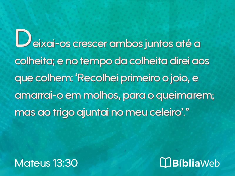 Mateus 13:30 em imagem para compartilhar