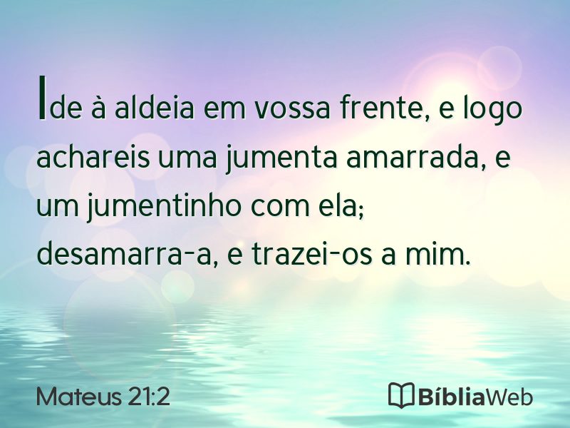 Mateus 21:2 em imagem para compartilhar
