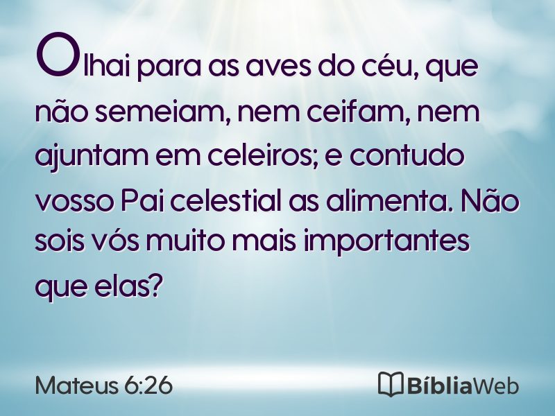 Mateus 6:26 em imagem para compartilhar