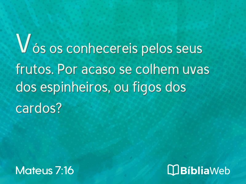Mateus 7:16 em imagem para compartilhar