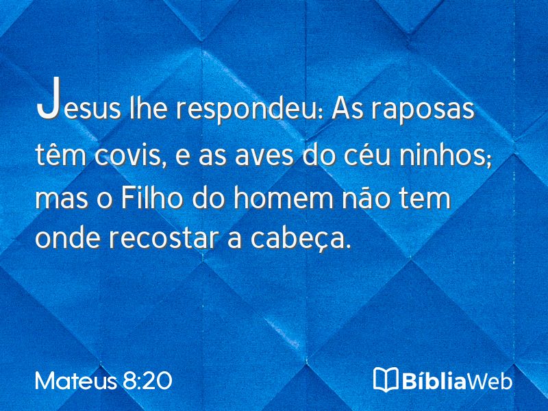 Mateus 8:20 em imagem para compartilhar