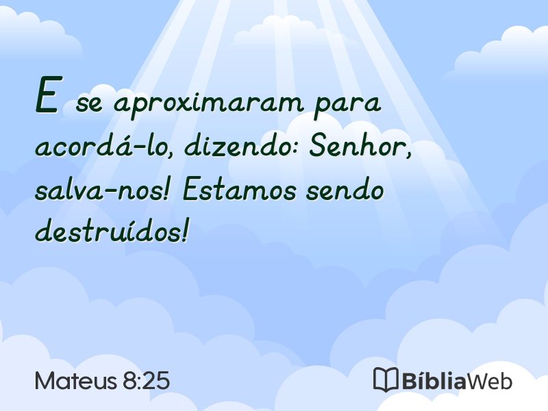 Mateus 8:25 em imagem para compartilhar