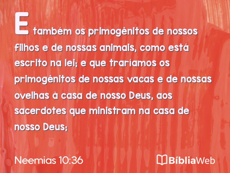 Neemias 10:36 em imagem para compartilhar