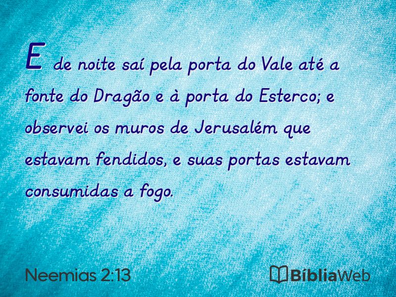 Neemias 2:13 em imagem para compartilhar