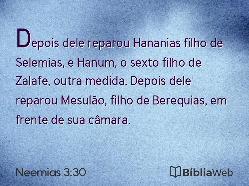 Neemias 3:30 em imagem para compartilhar