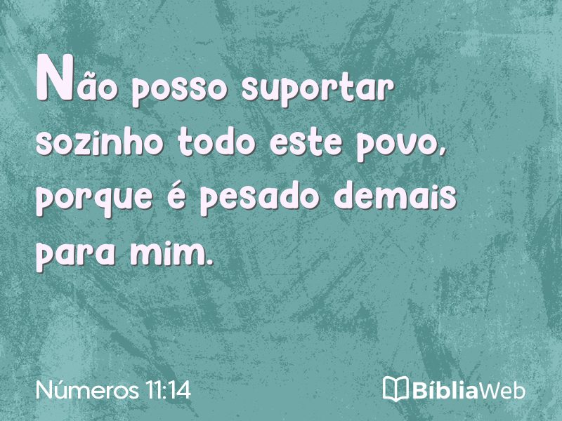 Números 11:14 em imagem para compartilhar