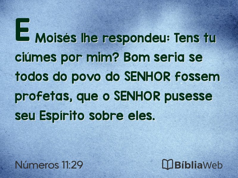 Números 11:29 em imagem para compartilhar