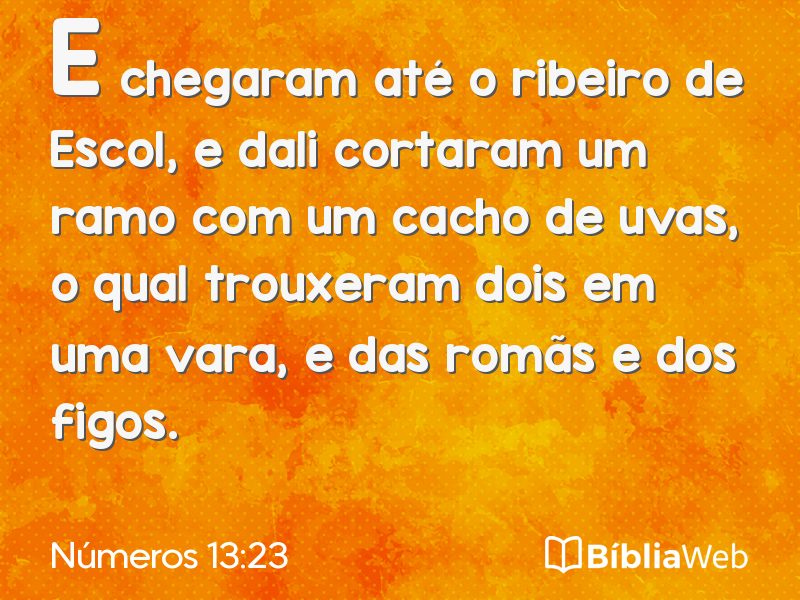 Números 13:23 em imagem para compartilhar