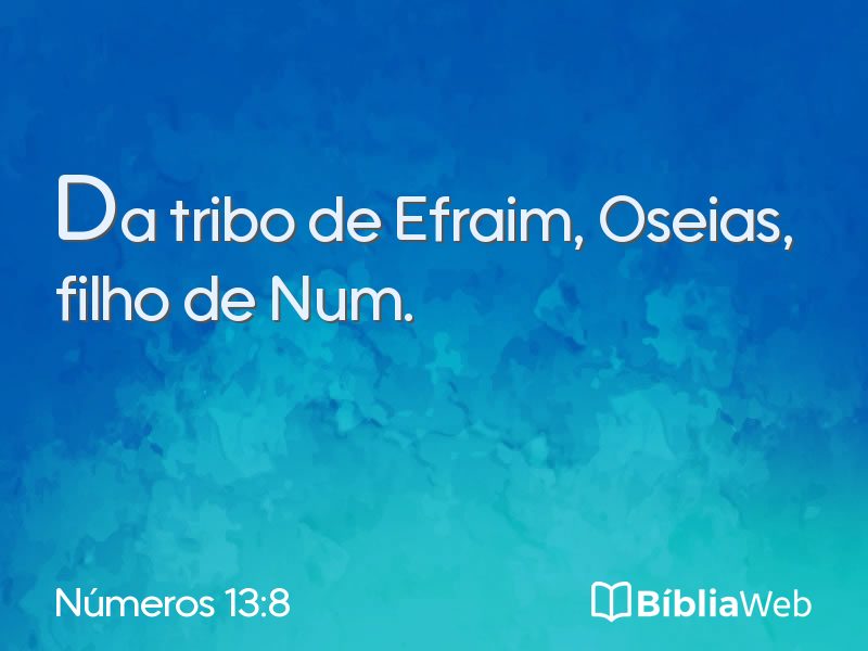 Números 13:8 em imagem para compartilhar