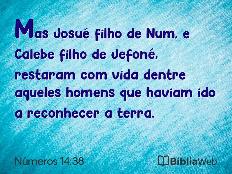 Números 14:38 em imagem para compartilhar